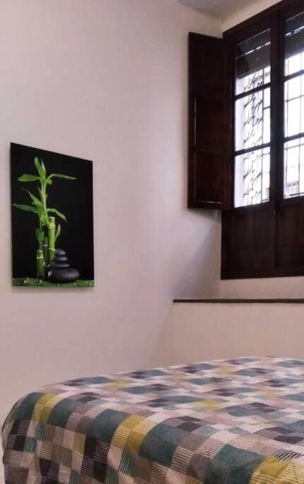 Disfruta De La Historica Cordoba Apartment Exterior foto